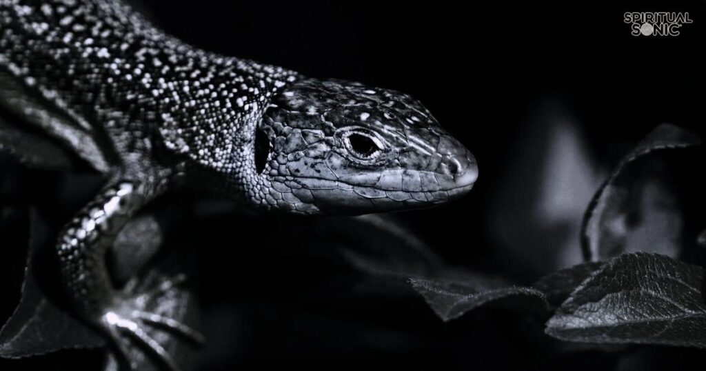 Camouflage Black Lizard