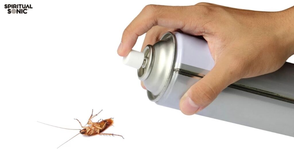 Cockroach Crawling