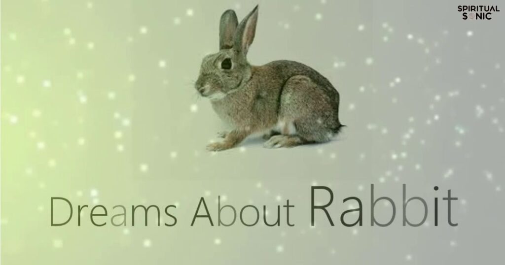 Dead Rabbit Dream Interpretation