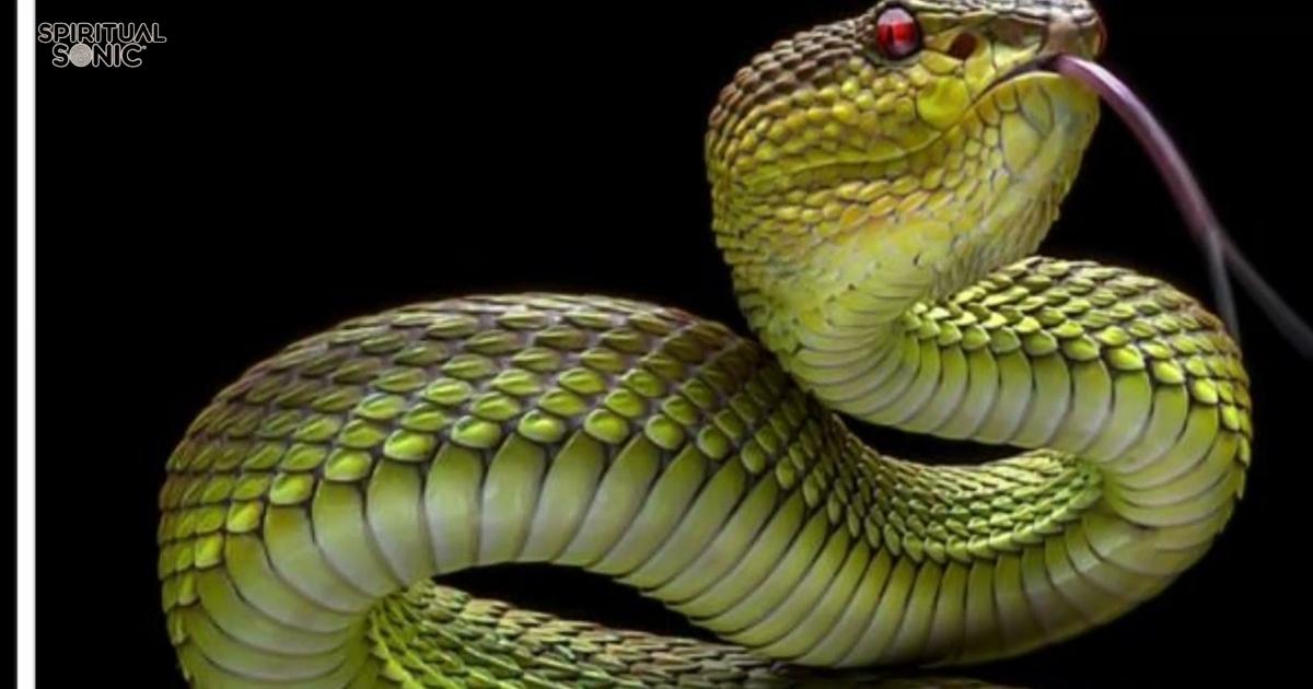 Garter Snake Spiritual Meaning