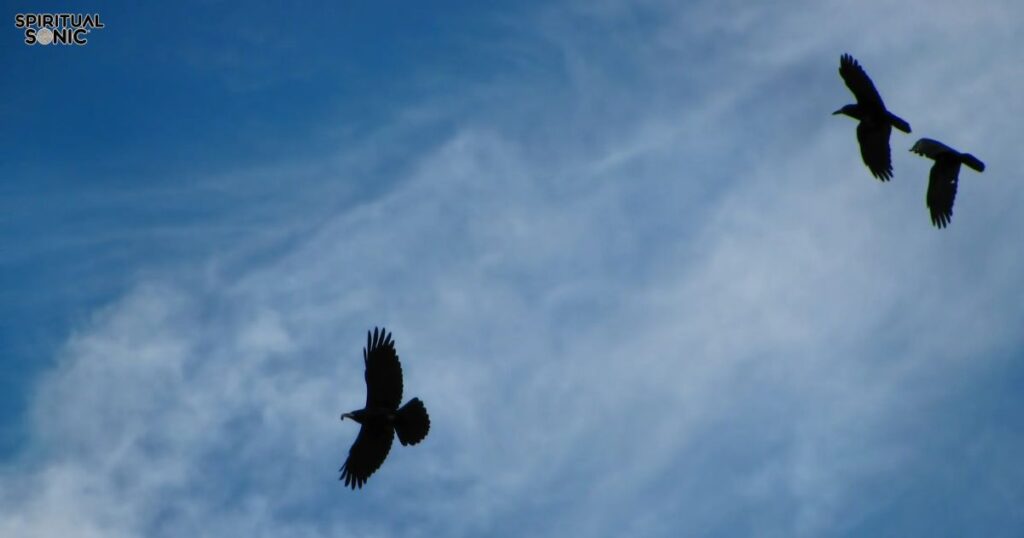 Seeing 3 Crows Spiritual Meaning