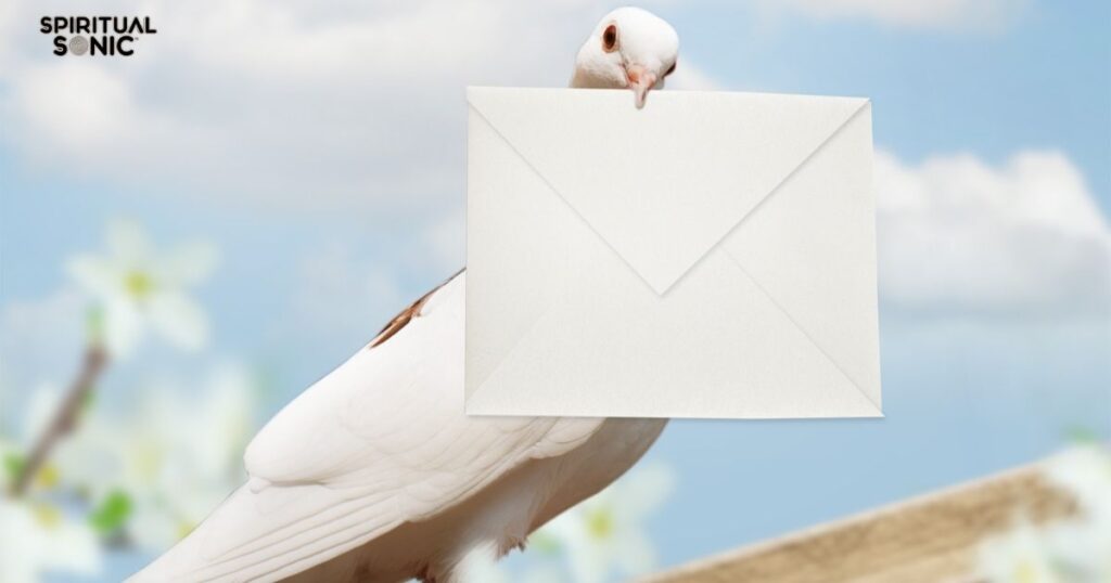 Messenger from the Divine White Pigeon