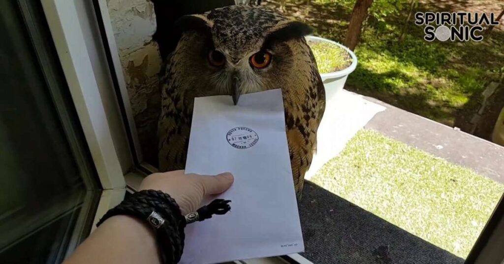 Owl as Messengers