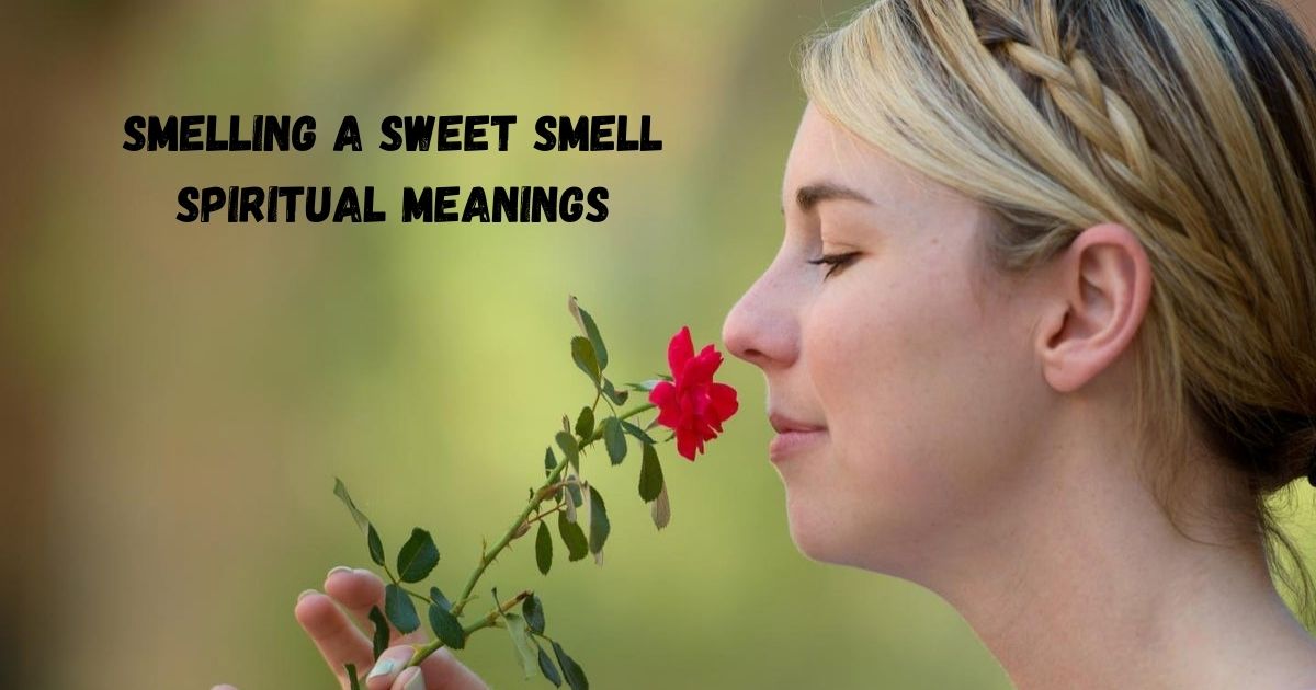 Smelling A Sweet Smell