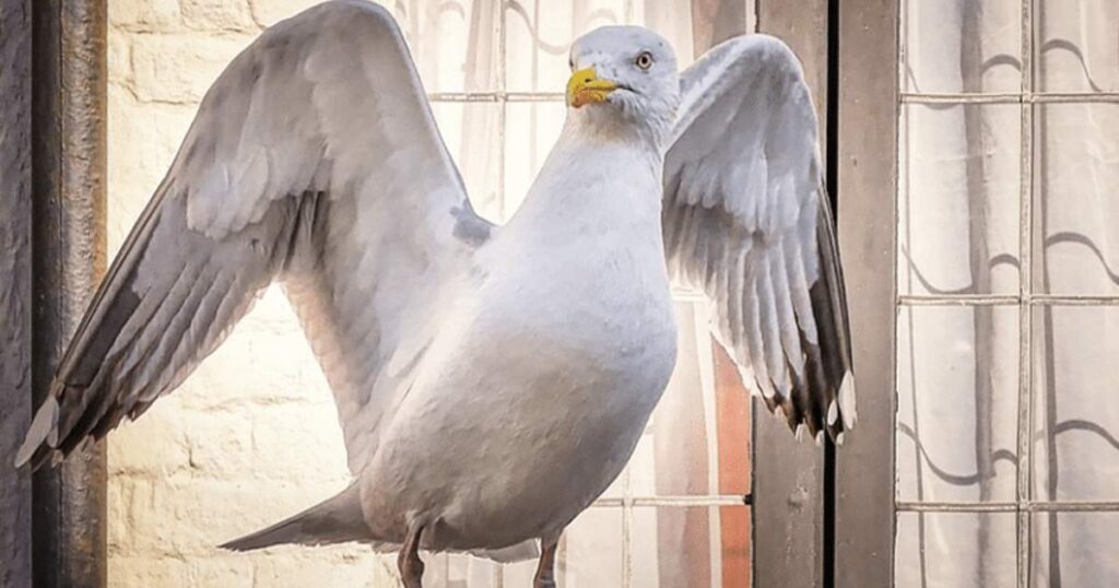 Spiritual Meanings of a Brown Bird Flying into Your House