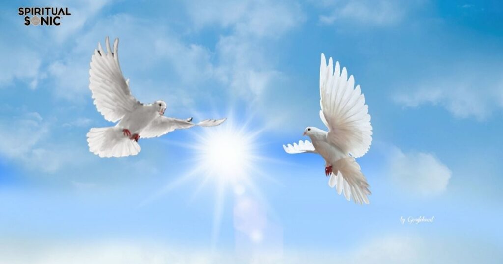 Understanding the Significance of Doves