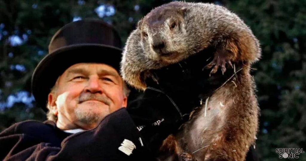 What Does It Mean When You See a Groundhog