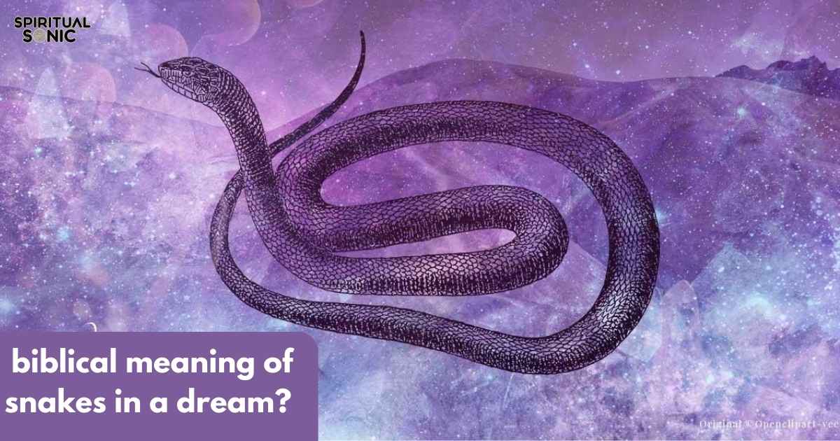 biblical meaning of snakes in a dream