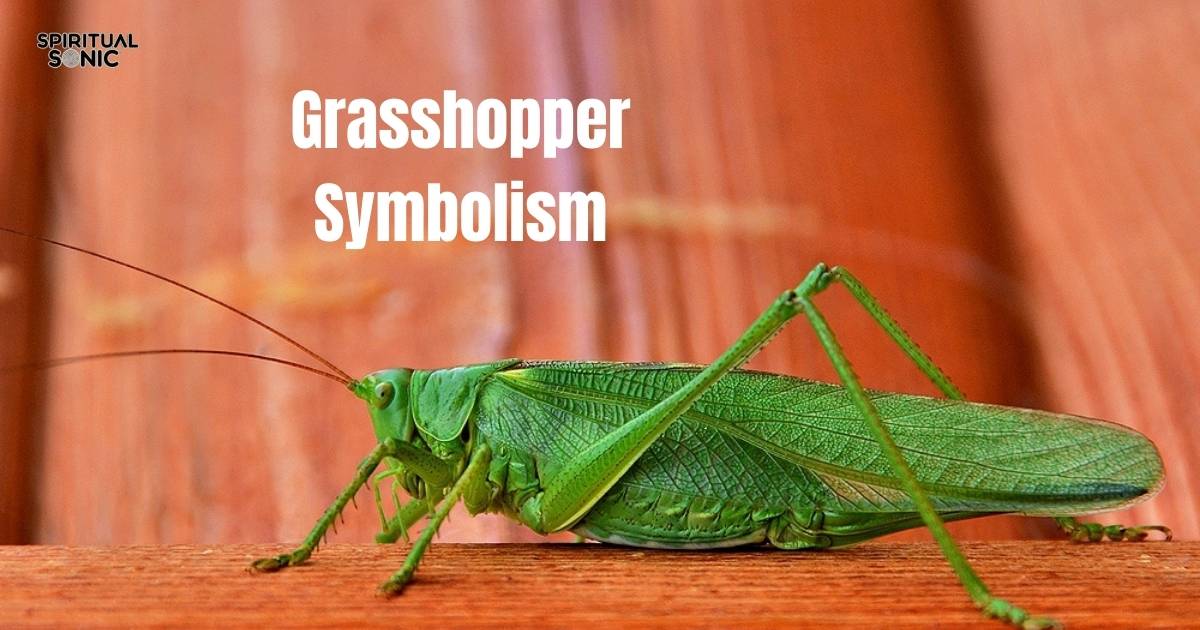 Grasshopper Symbolism