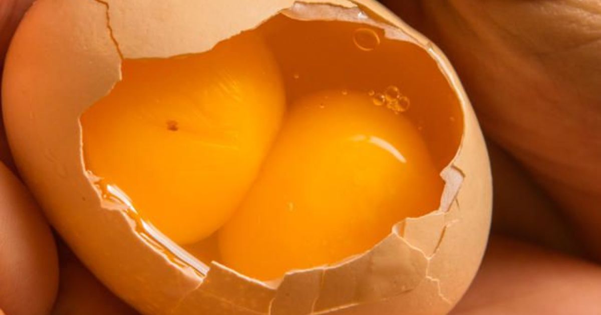 Spiritual & Biblical Meaning Of A Double Yolk Egg