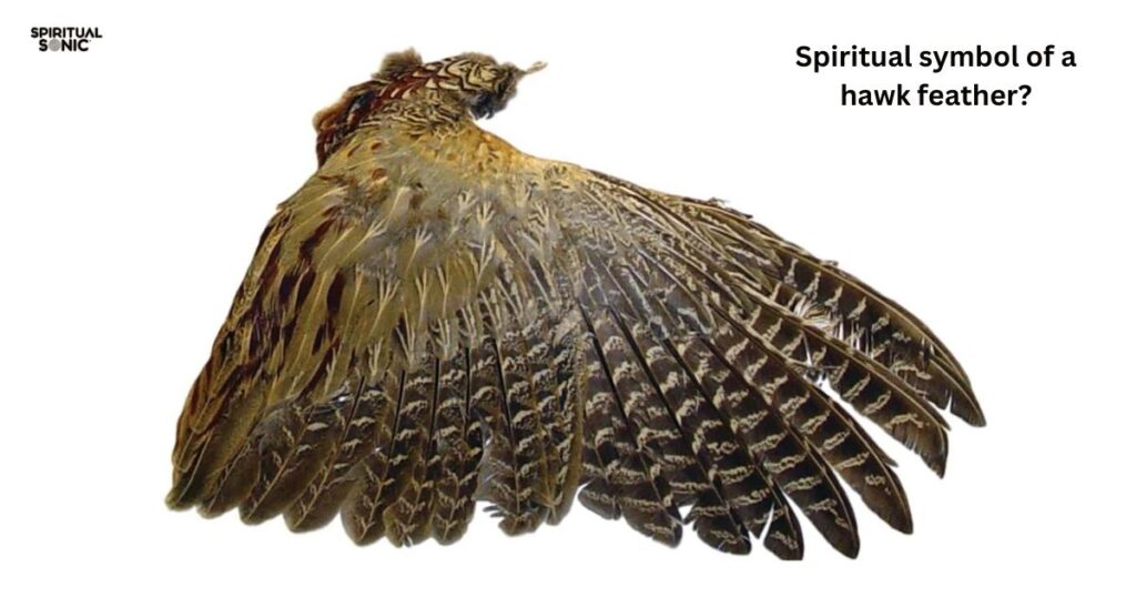 What is the spiritual symbol of a hawk feather