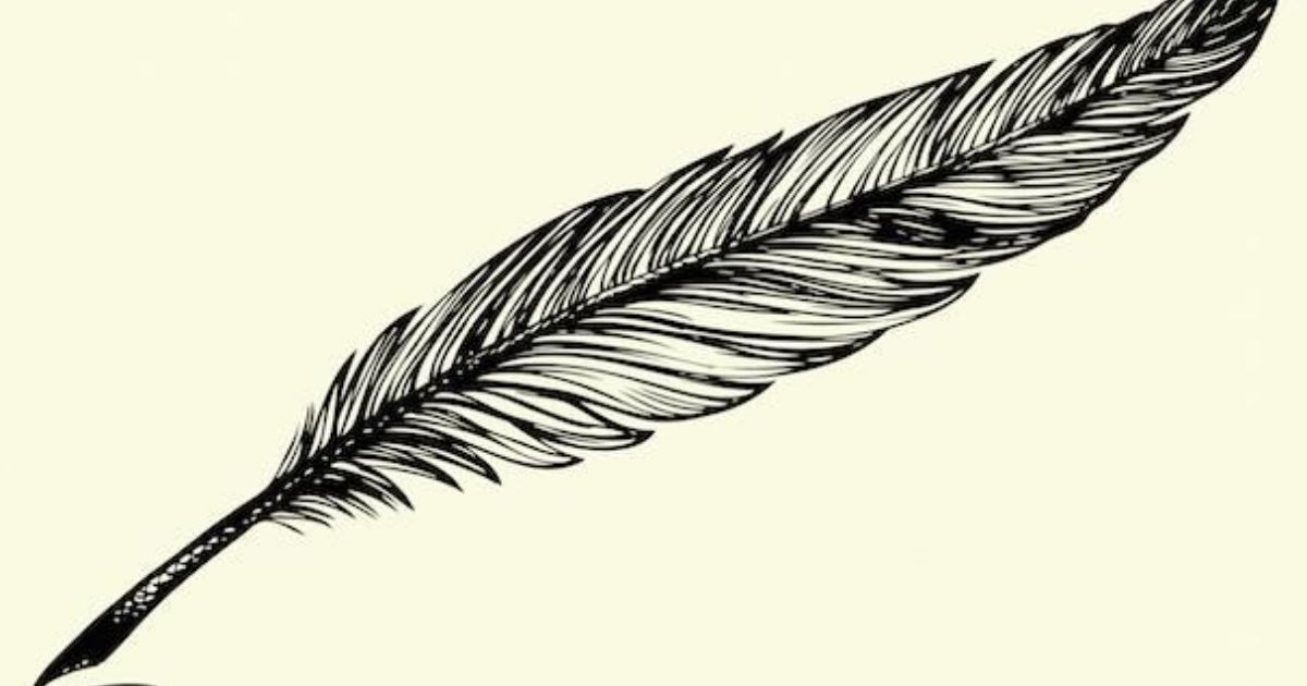 black and white feather