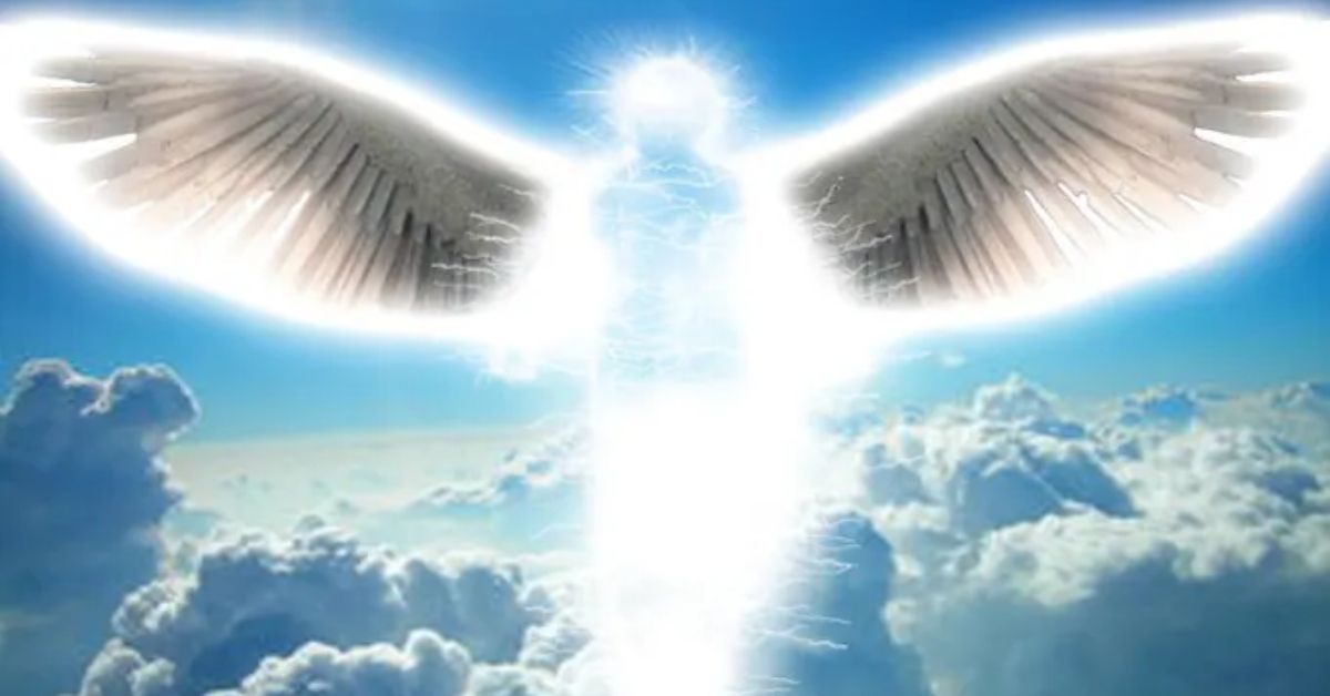 919 angel number law of attraction