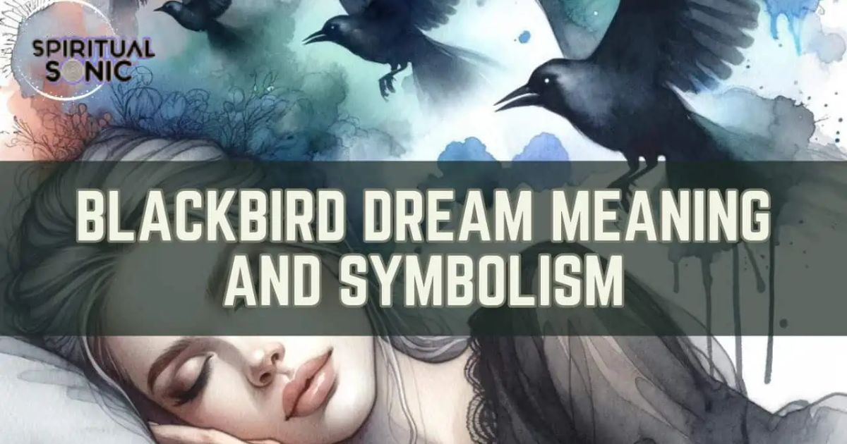 Black Bird Dream Meaning